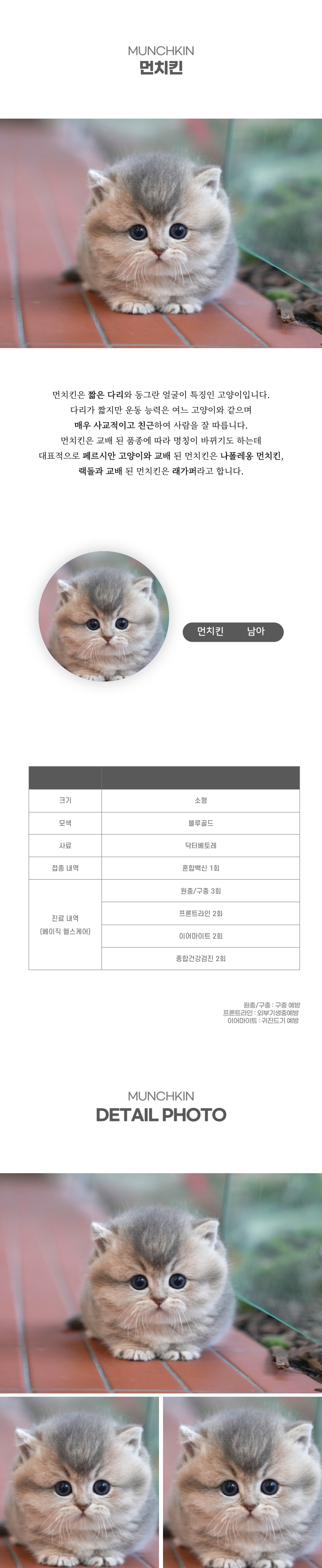 먼치킨_상세이미지_2